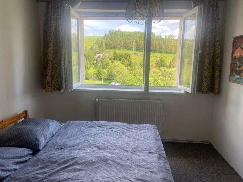 Apartman Orlicke Hory Orlicke Zahori Esterno foto