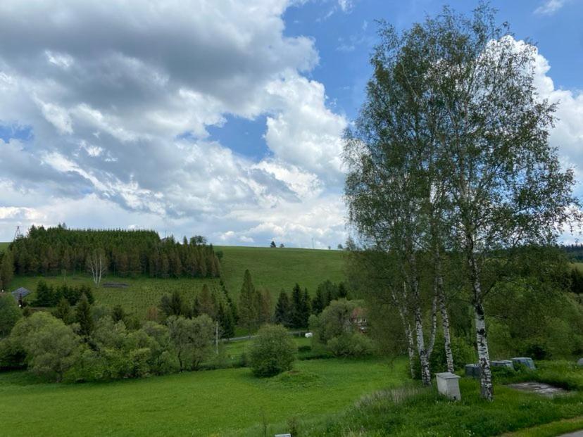 Apartman Orlicke Hory Orlicke Zahori Esterno foto