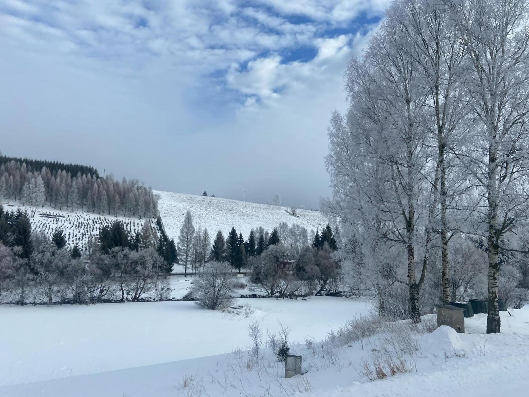 Apartman Orlicke Hory Orlicke Zahori Esterno foto