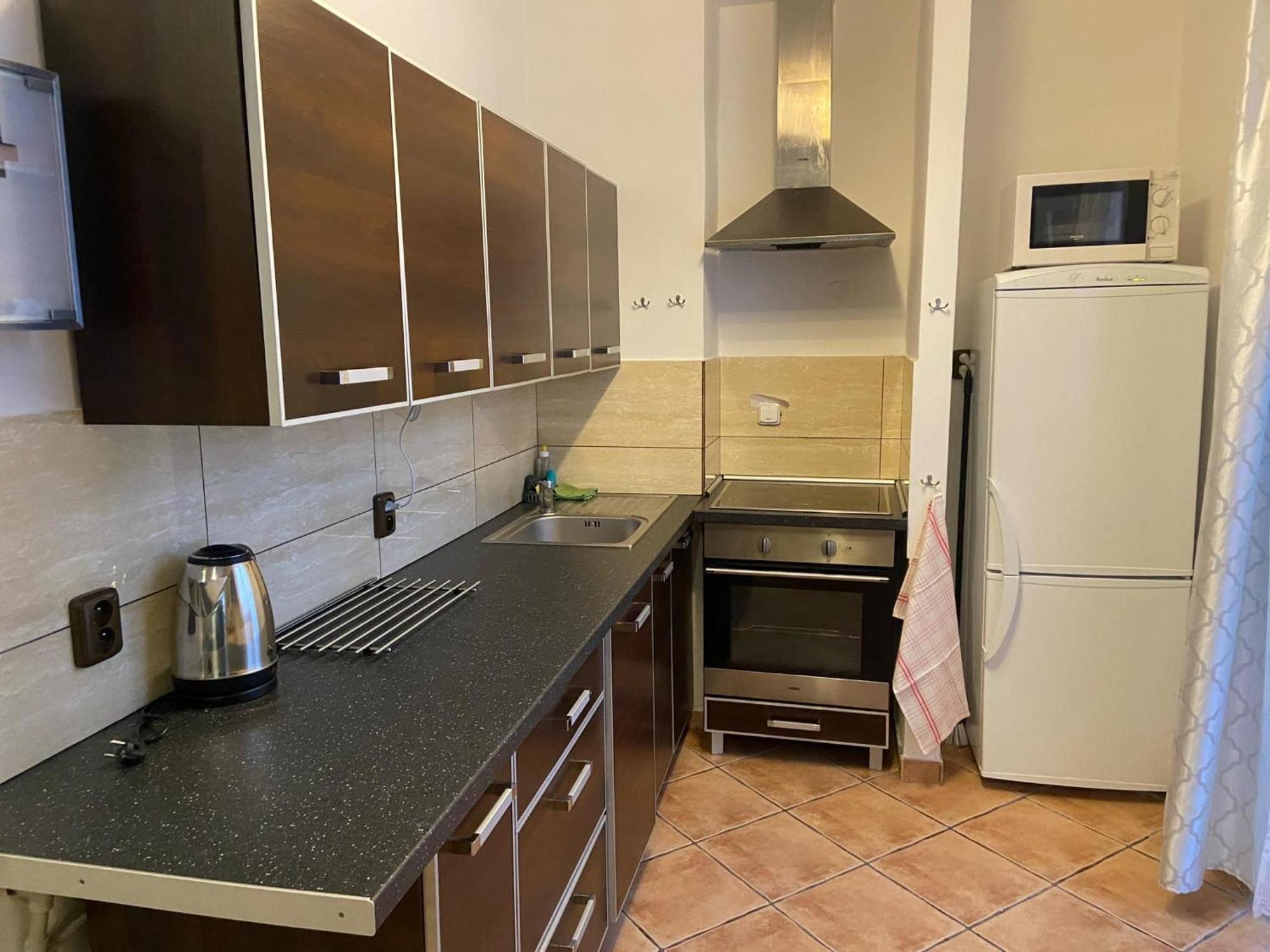 Apartman Orlicke Hory Orlicke Zahori Esterno foto