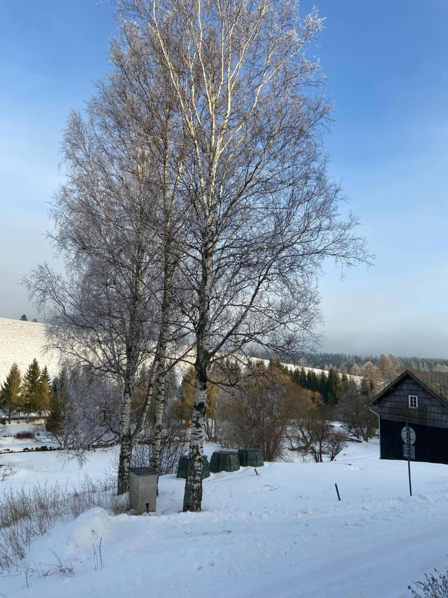 Apartman Orlicke Hory Orlicke Zahori Esterno foto